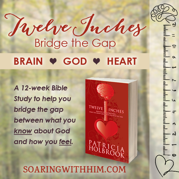 Twelve Inches: Bridge the Gap Bible Study